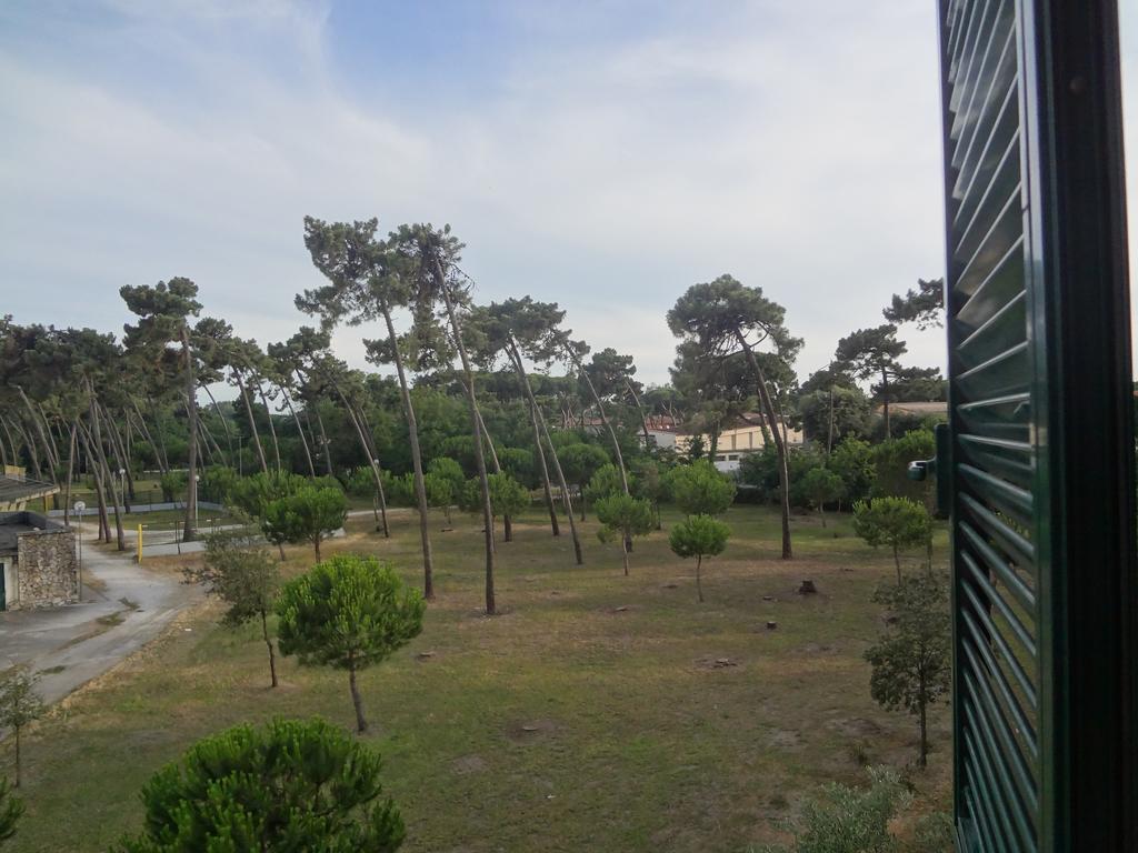 La Pineta Apartment Viareggio Exterior foto